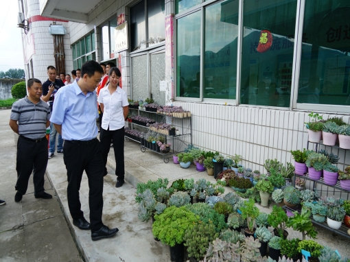 DSC03194_副本.jpg DSC03194_副本.jpg