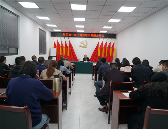集团第一期中青班培训专题分享会3_副本.jpg