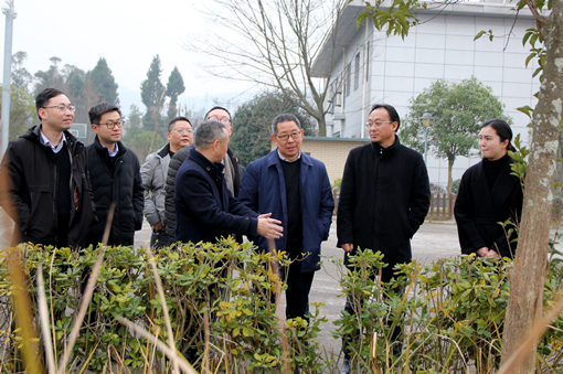 D:\叶正茂\Desktop\2021.1.20-21川高米兰官方端网站登录入口_米兰online(中国)
党委副书记、总经理王孝国深入达陕米兰官方端网站登录入口_米兰online(中国)
一线调研指导工作\QQ图片20210120200127_副本.jpg