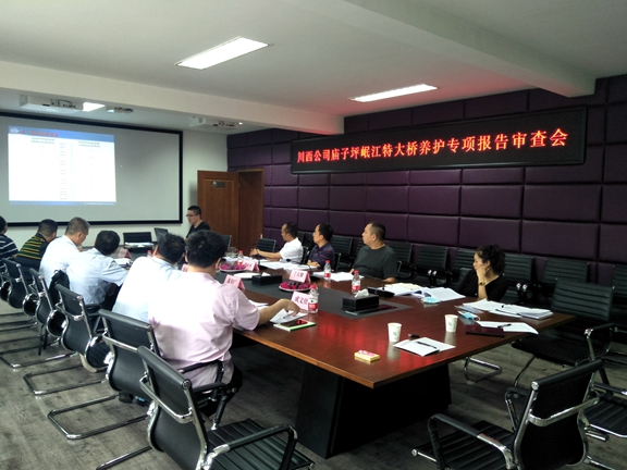 20200707都映高速公路庙子坪岷江特大桥专项检查报告审查会（1）_副本.jpg