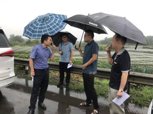 no199-省交投集团经营管理部一行到成南米兰官方端网站登录入口_米兰online(中国)
开展取消省界收费站专项工程督导工作（徐妈）.jpg