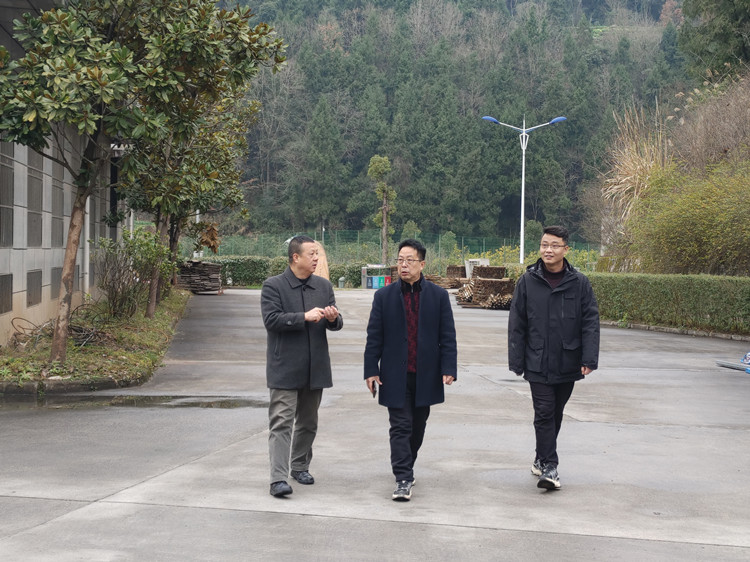 4.达陕米兰官方端网站登录入口_米兰online(中国)
党委书记、董事长张合川赴平昌管理处开展节前安全专项督导检查_副本.jpg