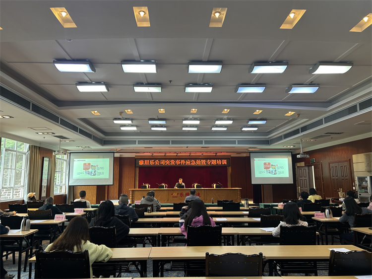 应急处理.jpg
