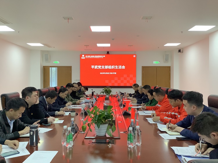 平武党支部组织生活会.jpg