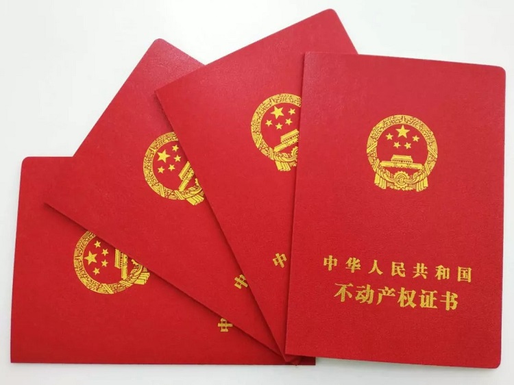 证书照片.jpeg
