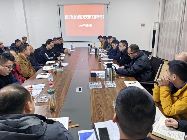 联合临时党支部工作推进会(1).jpg