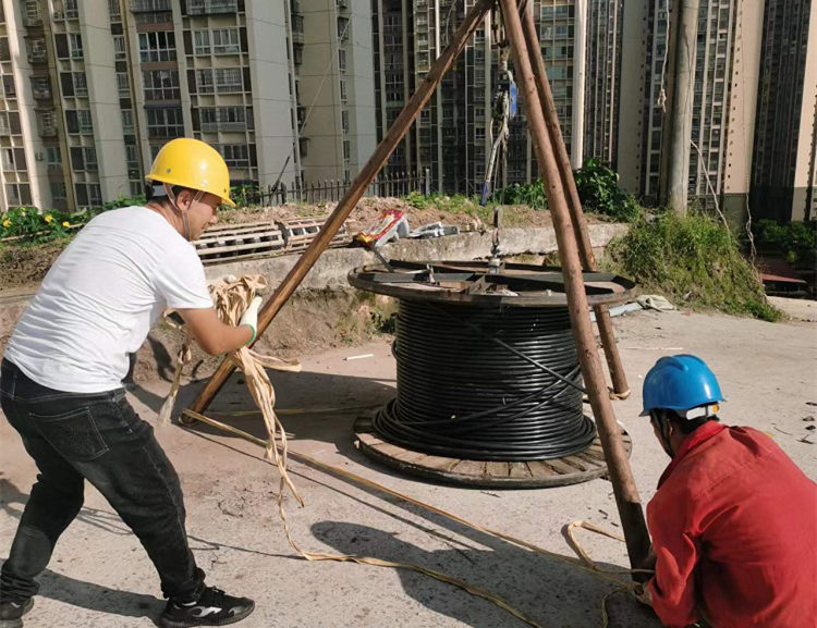 图片1_副本.png