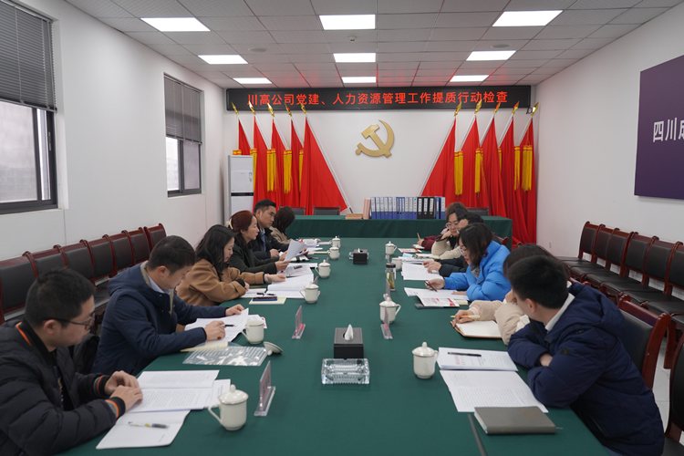 党建提质行动检查_副本.jpg