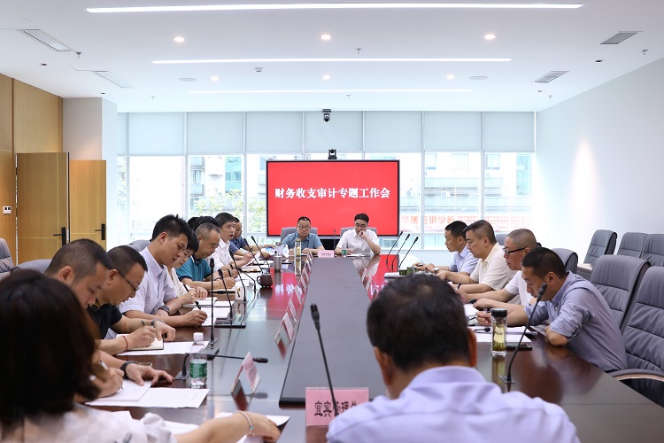 20220531_财务收支审计专题工作会.jpg