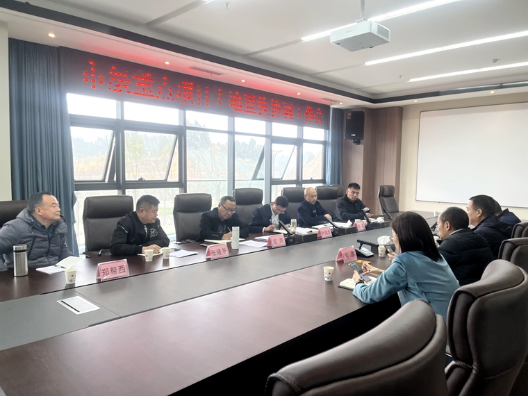 重点项目土地置换协调会 (2)_副本.jpg