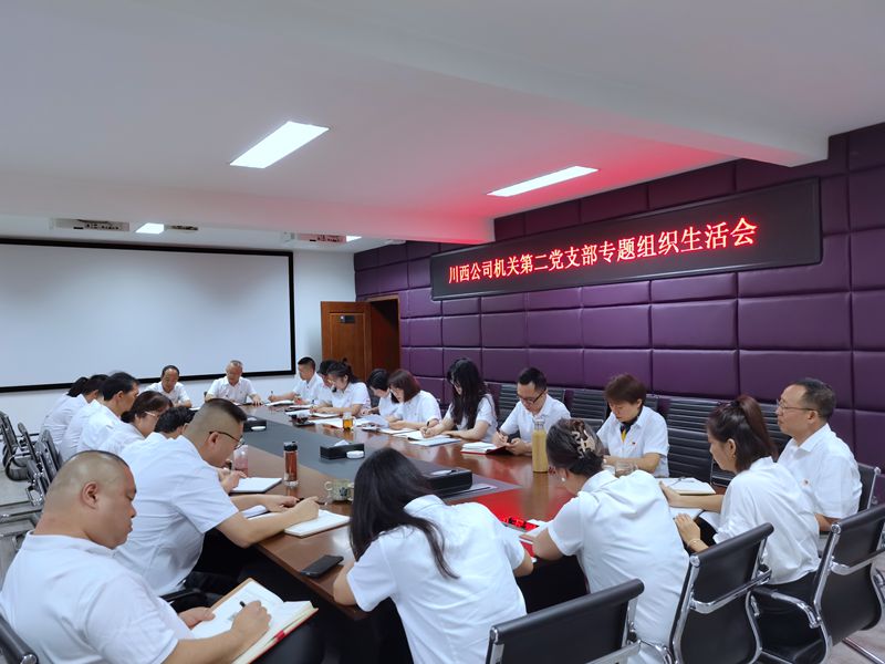 机关第二党支部组织生活会  (1)_副本.jpg