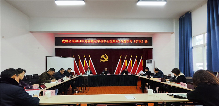 第9次中心组_副本.jpg