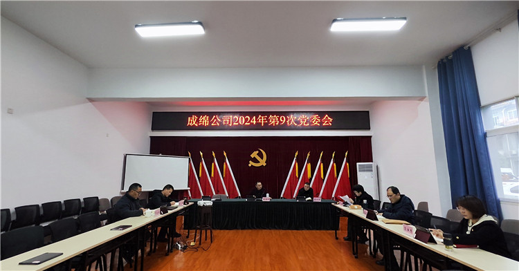 第9次党委会_副本.jpg
